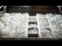 Máquina de caja de concha moldeada de pulpa SHM