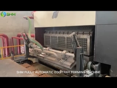 Máquina de moldeado de bandejas de papel industrial de celulosa envasado de alimentos