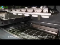 Máquina de moldeo de mesa de celulosa duradera Máquina de fabricación de cuencos de papel de alta velocidad