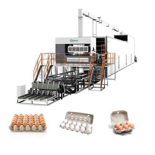 Fully Automatic Paper Egg Carton Making Machine | Molded Pulp Egg Box Production Line | SHM